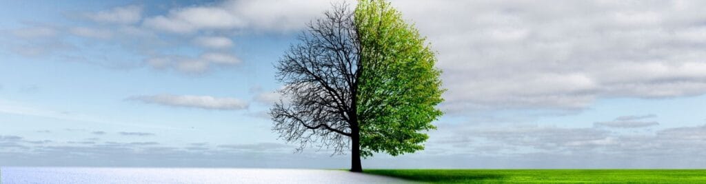 invierno a primavera