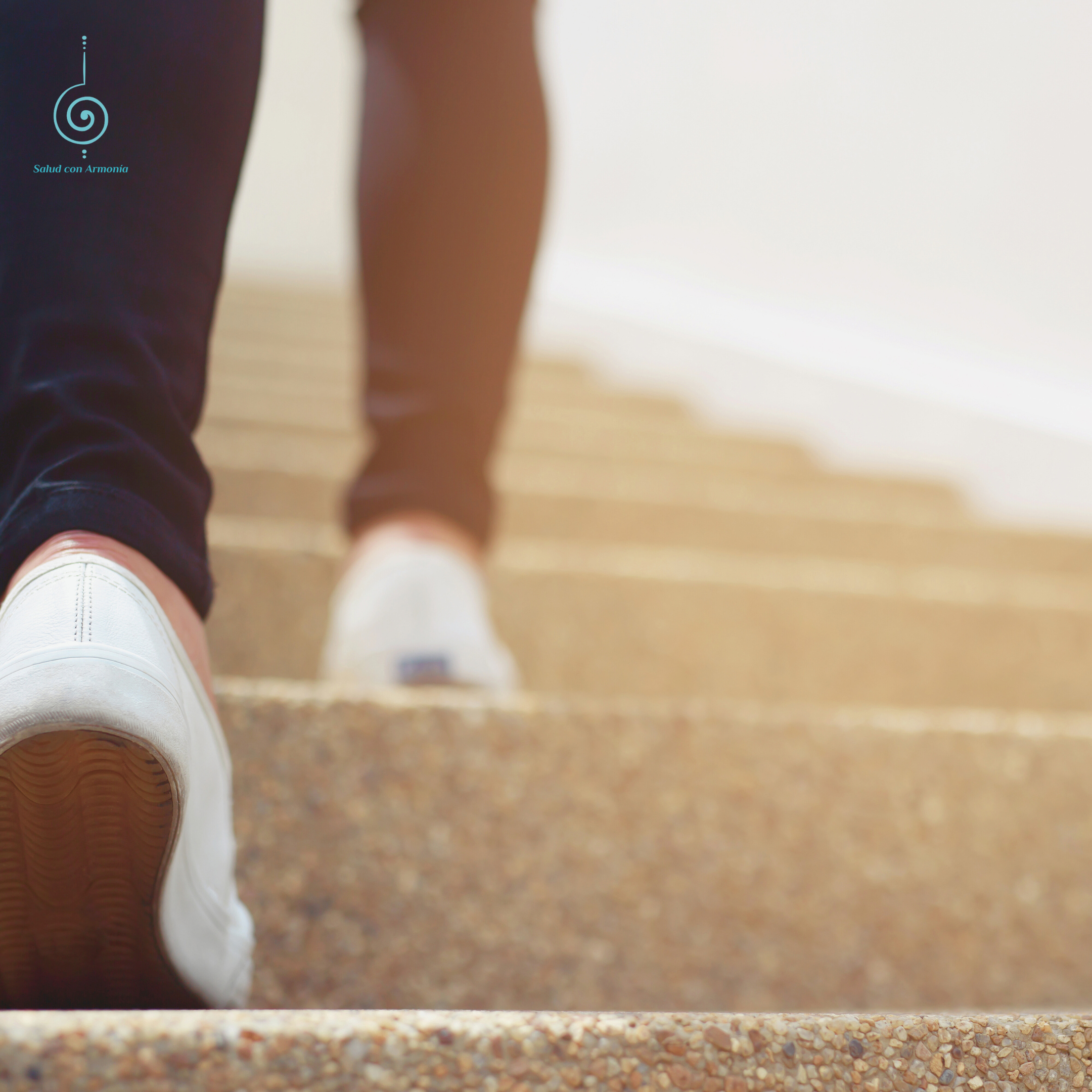 Webinar “Primeros pasos en Disautonomía”